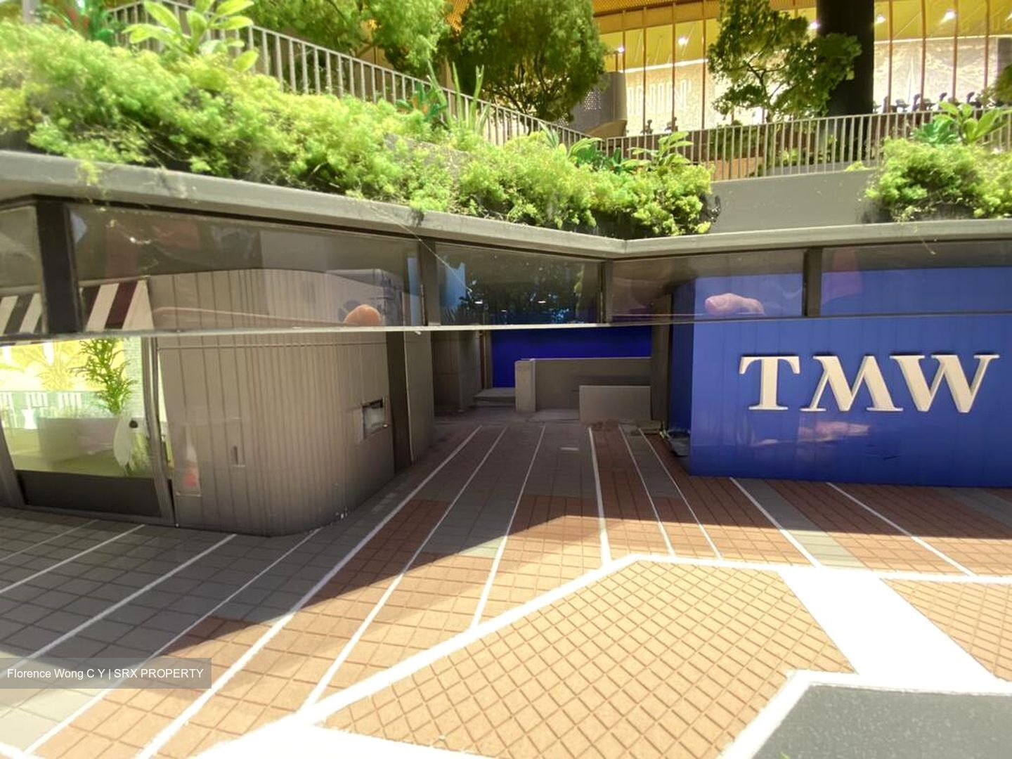 Tmw Maxwell (D2), Apartment #497839781